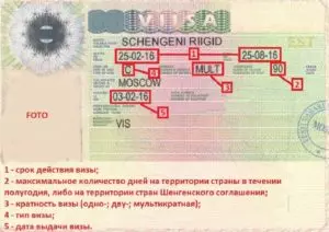На сколько обычно дается шенгенская виза впервые